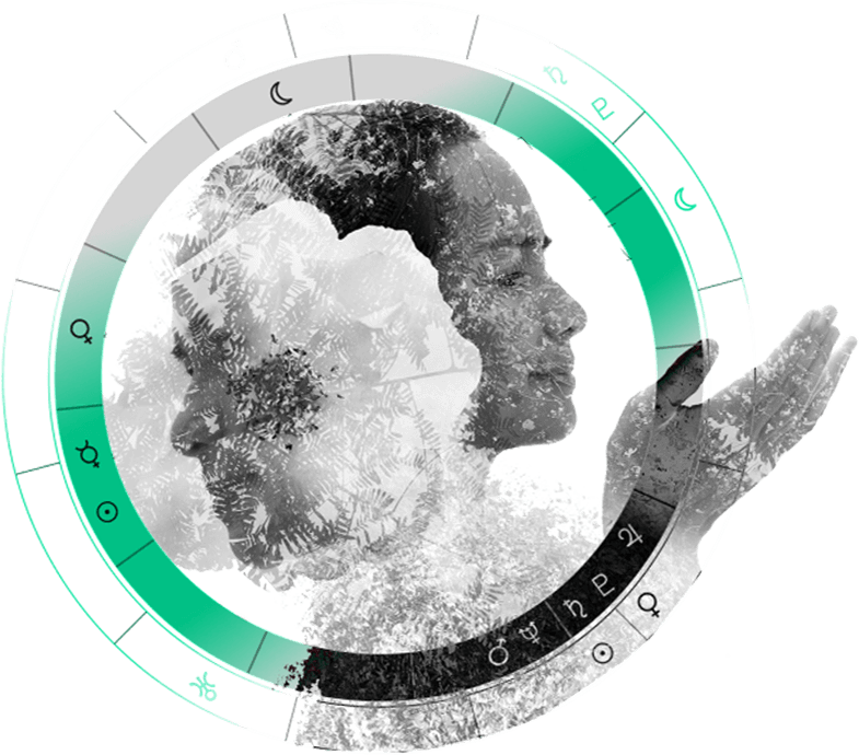 https://zodiac.robochat.pro/wp-content/uploads/2018/04/inner_sign_04.png
